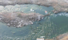 城鎮(zhèn)水污染圖片 城鎮(zhèn)水污染圖片