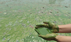 水質(zhì)污染圖片 水質(zhì)污染圖片